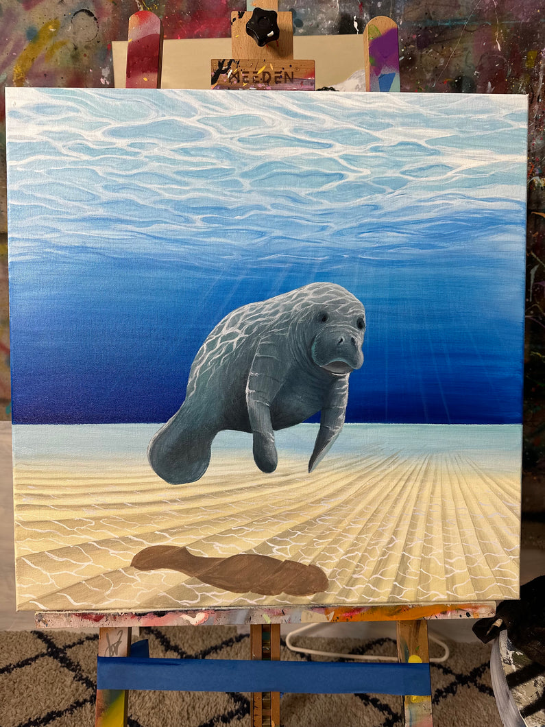 Marvin the Manatee 24